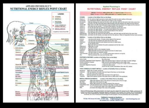 Nutritional Energy Reflex Point Chart including Riddler Points (A4)