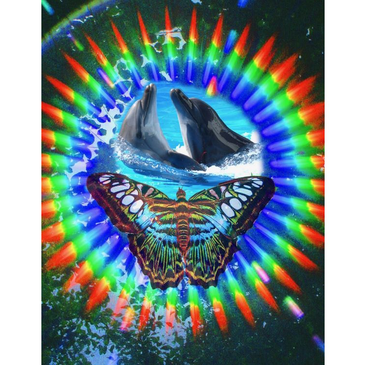 Purchase eriksessences essences (Butterfly, Sea, Dolphin, Whale Essences) via Vibrational Healing New Zealand